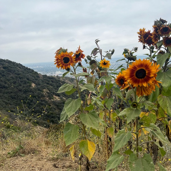 Meet your Posher, Kris 🖤 - Picture 5 of 5